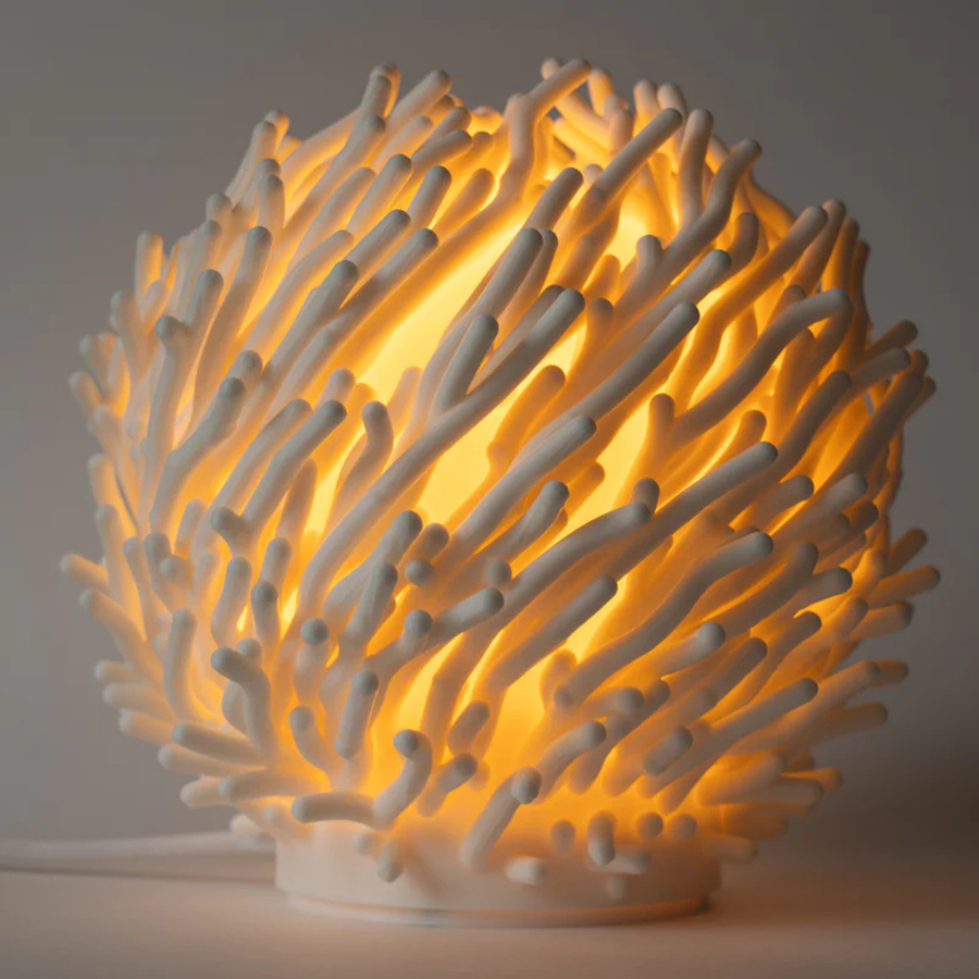 O7 Coral Sculpted Lamp  Leora